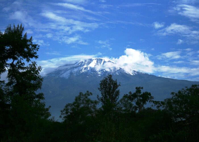 Flora & Fauna of Mount Kilimanjaro National Park