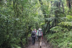 Getting to Mount Kilimanjaro National Park