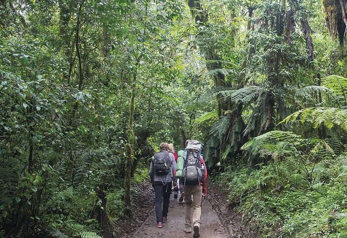 Getting to Mount Kilimanjaro National Park