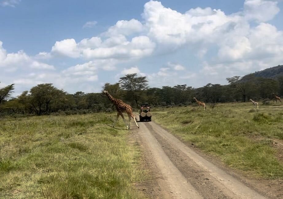 Getting To Lake Nakuru National Park