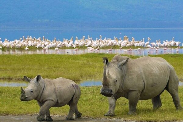 Lake Nakuru National Park