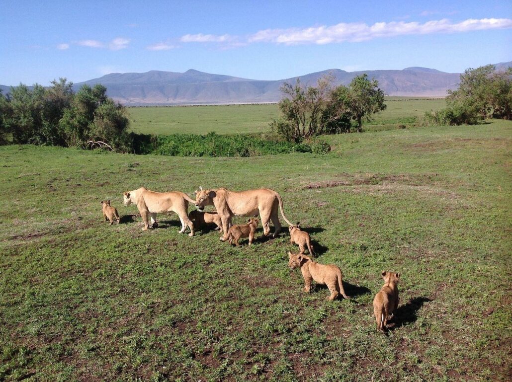 Best Things to do In Lake Manyra National Park