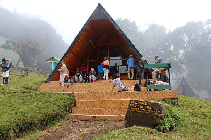 1 day mount kilimanjaro trek to Mandara hut