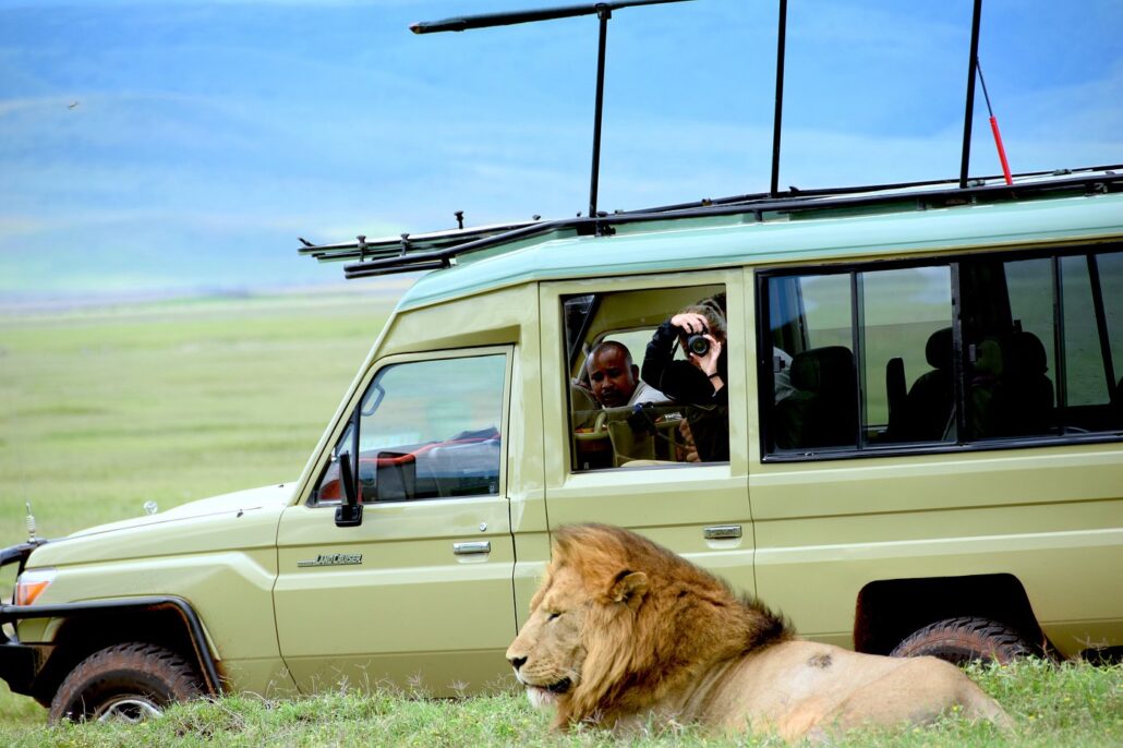 Best Time To Visit Ngorongoro Conservation Area in Tanzania