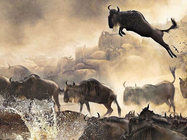Serengeti National Park