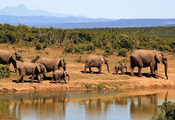 Attractions in Tsavo National Park