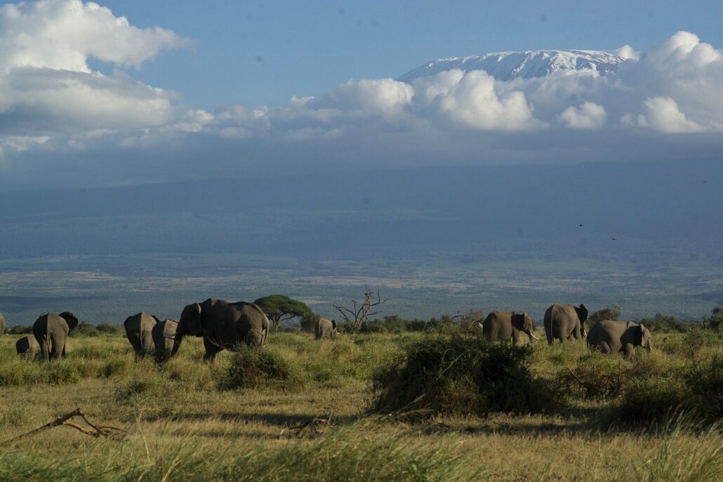 best things to see and do in Kenya 