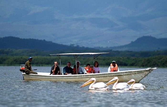 birding in lake naivasha 7 days Kenya birding Safari