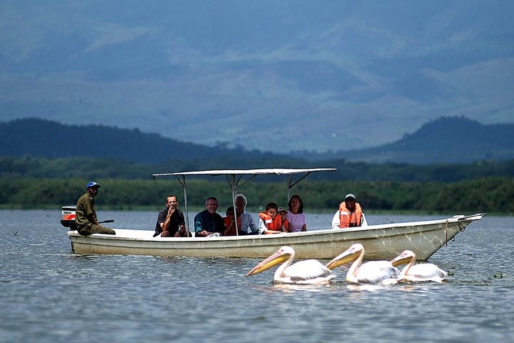 7 days Kenya birding Safari