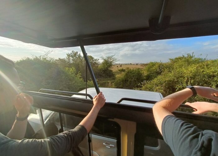 Game drives in nairobi national park