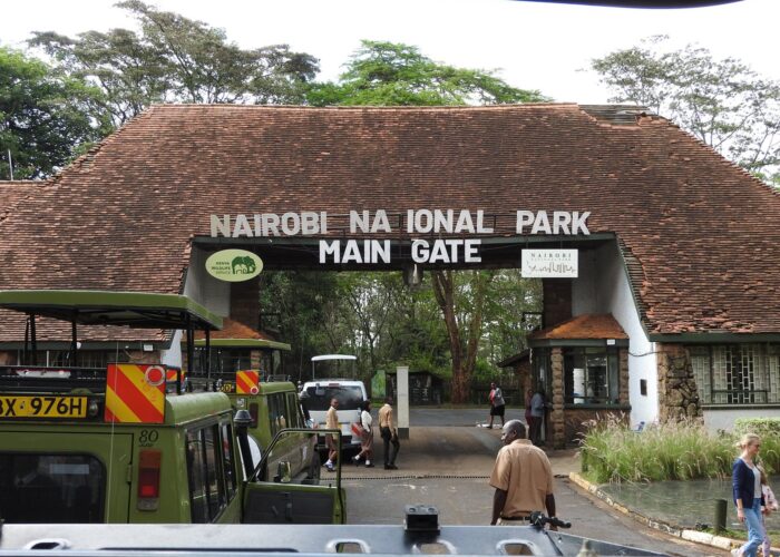 getting to nairobi national park