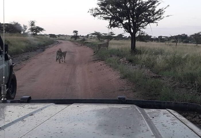 Getting To Ngorongoro Conservation Area