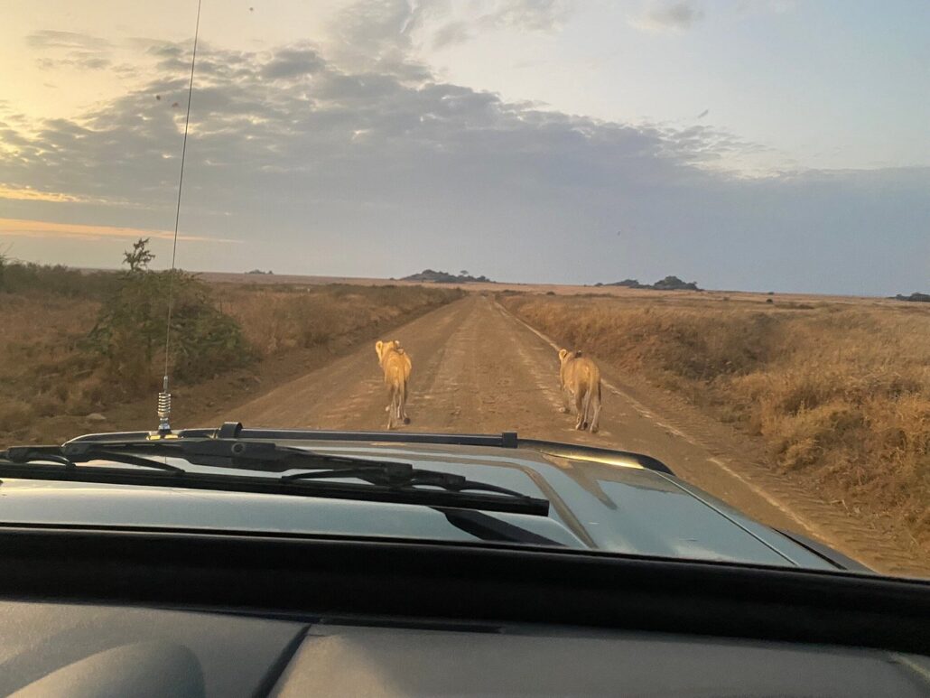 Getting To Serengeti National Park