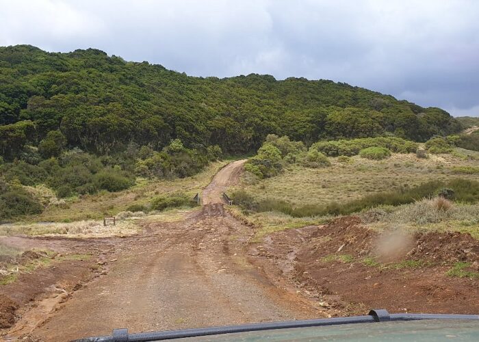 Getting To Aberdare National Park