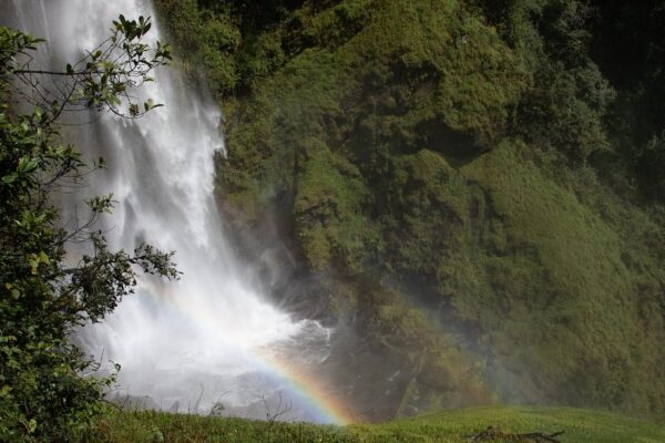 Tanzania National Parks & Reserves