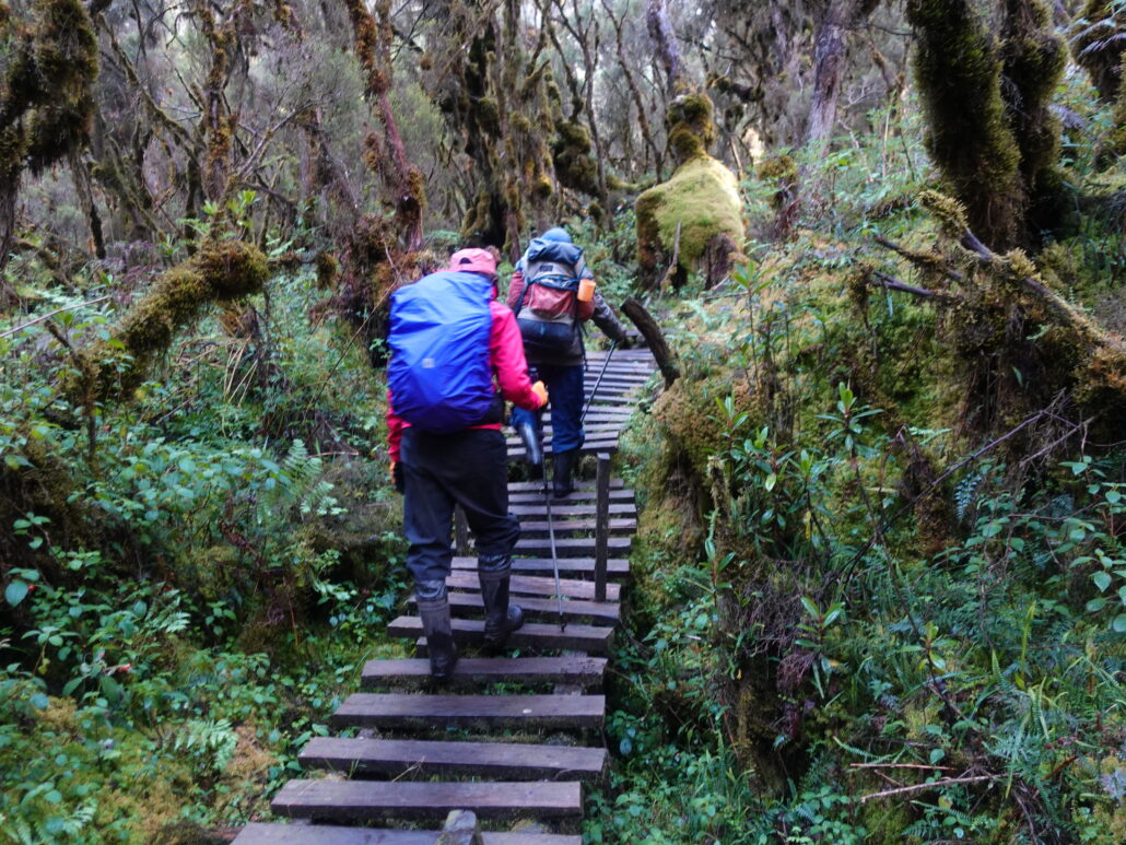 6 Days Rwenzori Portal Peaks Trekking