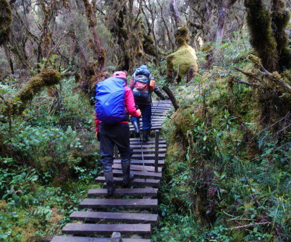 routes of Rwenzori mountains National Park