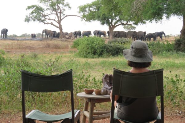 satao camp tsavo