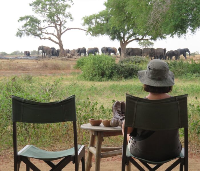 satao camp tsavo