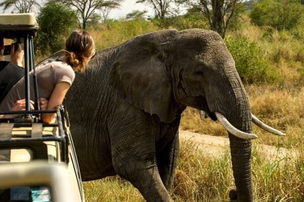 getting to Tarangire National Park by Road