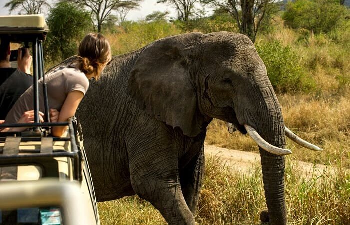 getting to Tarangire National Park Tanzania by Road