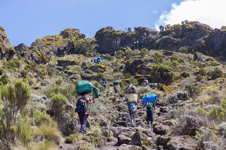 mount kilimanjaro shira route