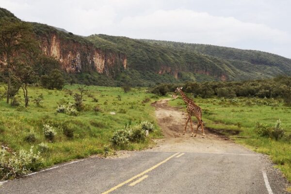 Getting to Hells Gate National Park