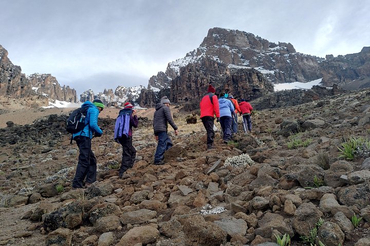 The 7 days Rongai Route mount kilimanjaro climb