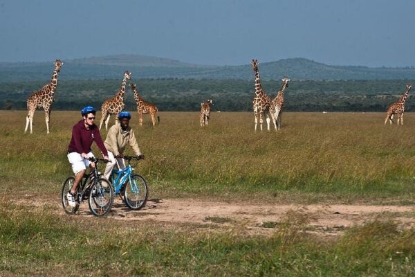 activities in olpegeta conservancy