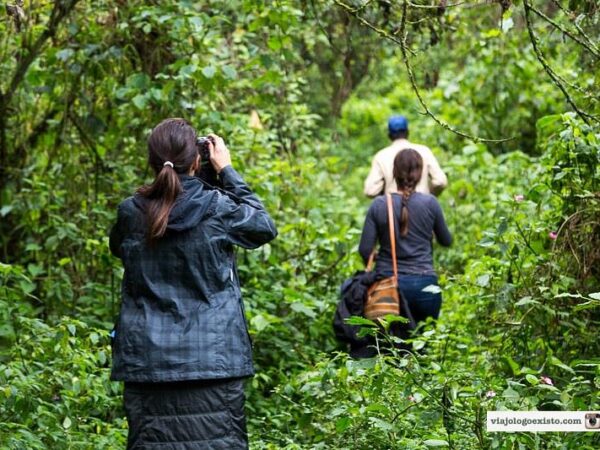 Birding in Virunga national park