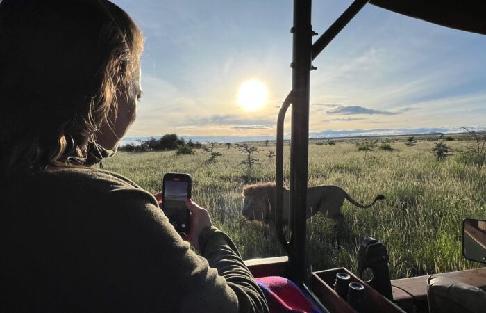 Lewa wildlife conservancy Lewa Wildlife Conservancy-African safari Destinations