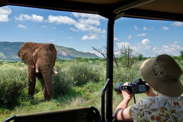 South Africa, safaris & Tours, Attractions and Activities