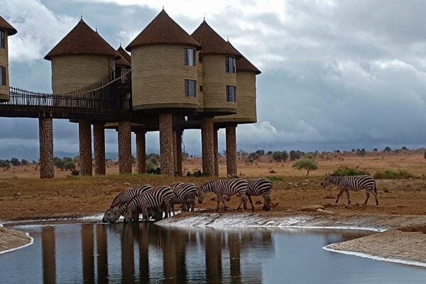 Taita Hills National Sanctuary