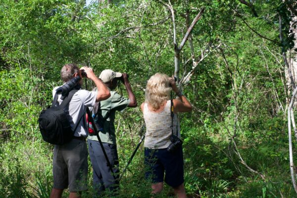 Arabuko-Sokoke Forest Reserve