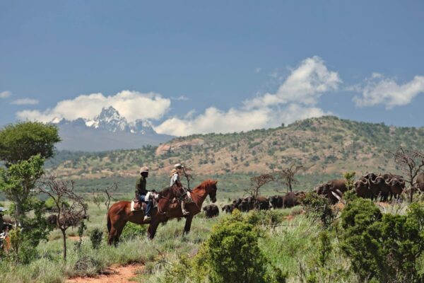 Borana Conservancy (Laikipia)