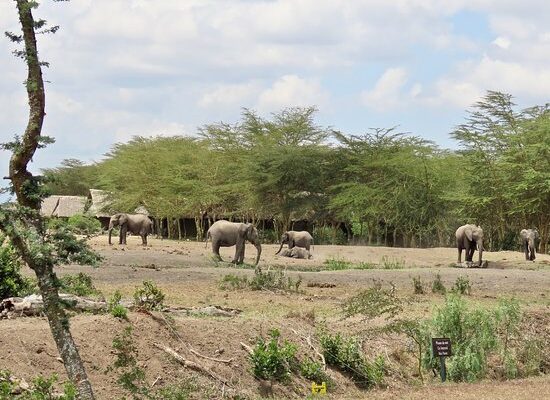 Laikipia Plateau