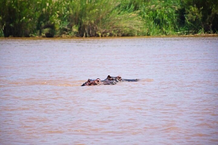 3 days Rusizi National Park(wildlife safari), burundi safari