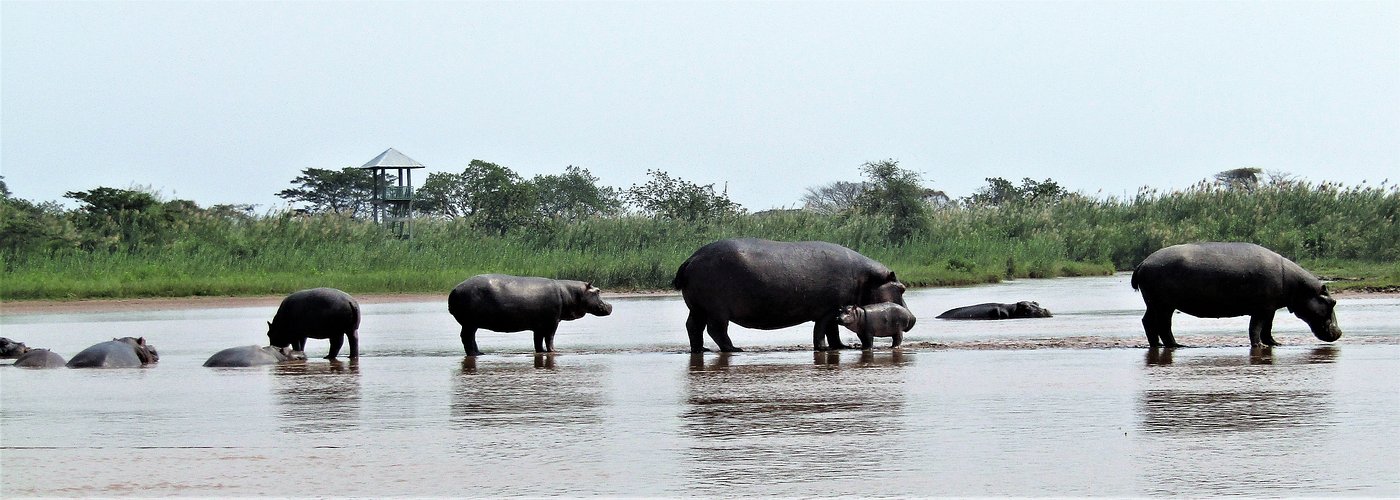 4 days Burundi Waterfalls Safari