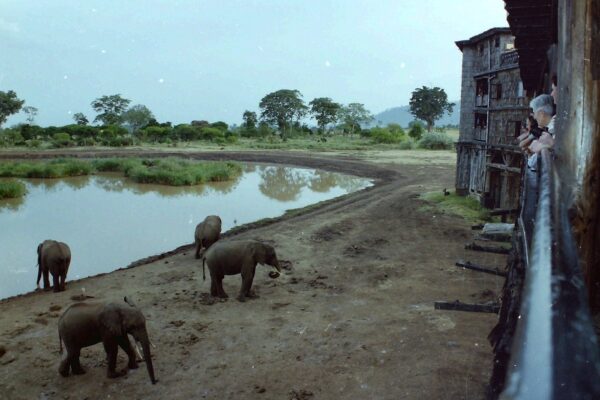 Aberdare-Kenya national Parks