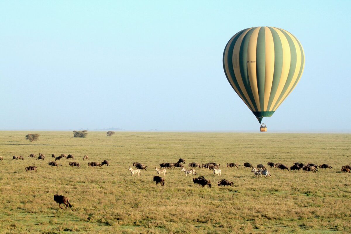 Balloo Safaris In Africa