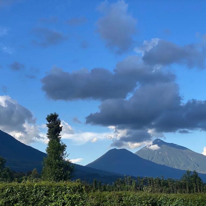 Volcanoes National Park- Rwanda National Parks