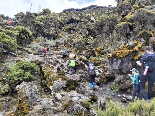 7 days Machame route