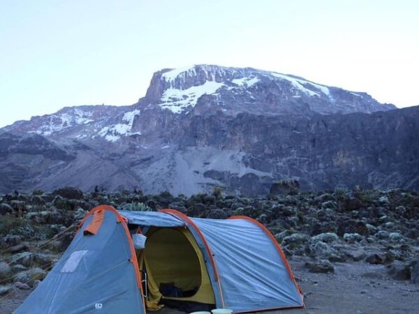 9 days Mount Kilimanjaro trekking tours in the Northern circuit trail route