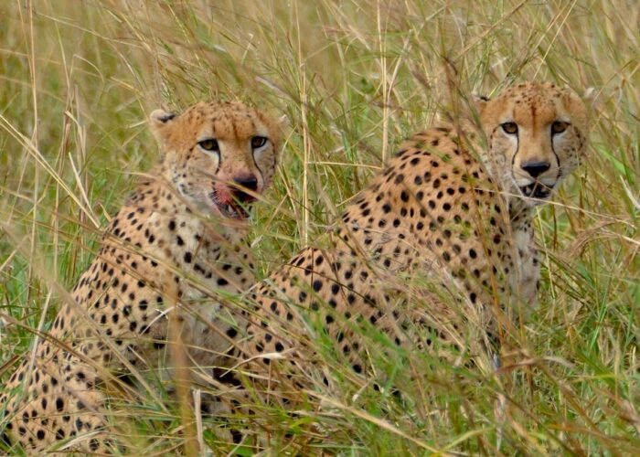 Kidepo Valley national Park