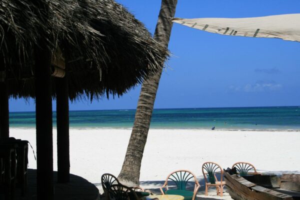 Diani Beach Leisure tours in the Southwest Safari Circuit