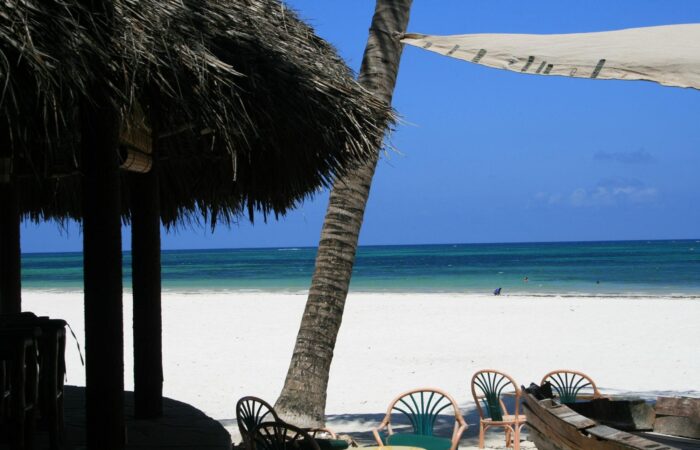 diani-beach Diani Beach Leisure tours in the Southwest Safari Circuit