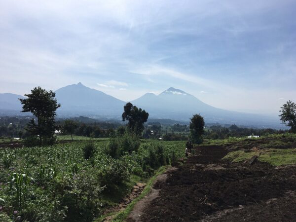 Mout Bisoke Hike