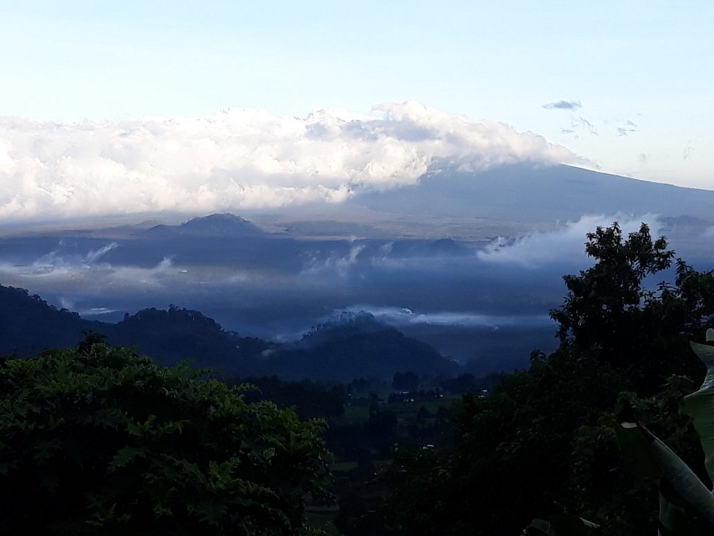 The Virunga Mountains, a chain of volcanoes in East Africa