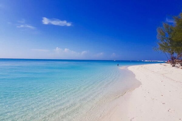 Zanzibar whitesand beaches