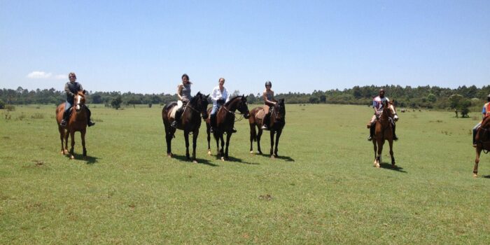 horse back